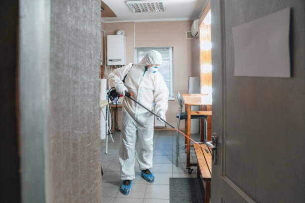 Best Environmental Consulting for Mold Prevention  in Wimberley, TX