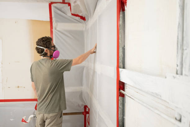 Best Attic Mold Removal  in Wimberley, TX